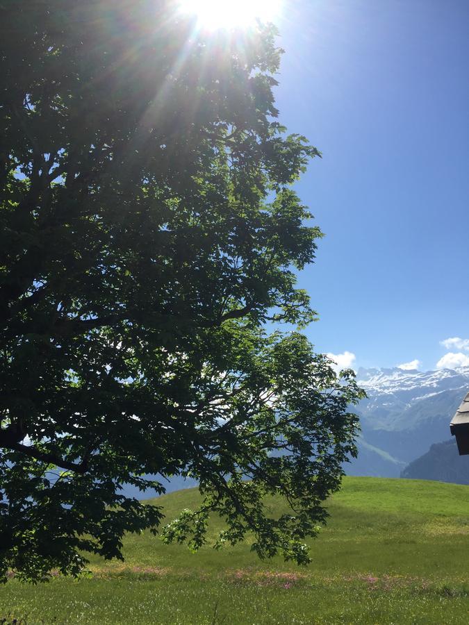 Hotel & Restaurant Stadthof Glarus Esterno foto